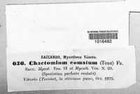 Chaetomium elatum image